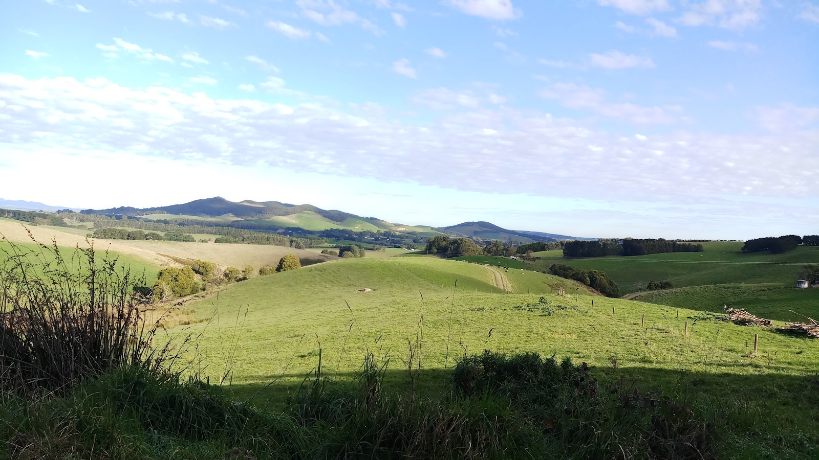Meeniyan Recreation Reserve 2
