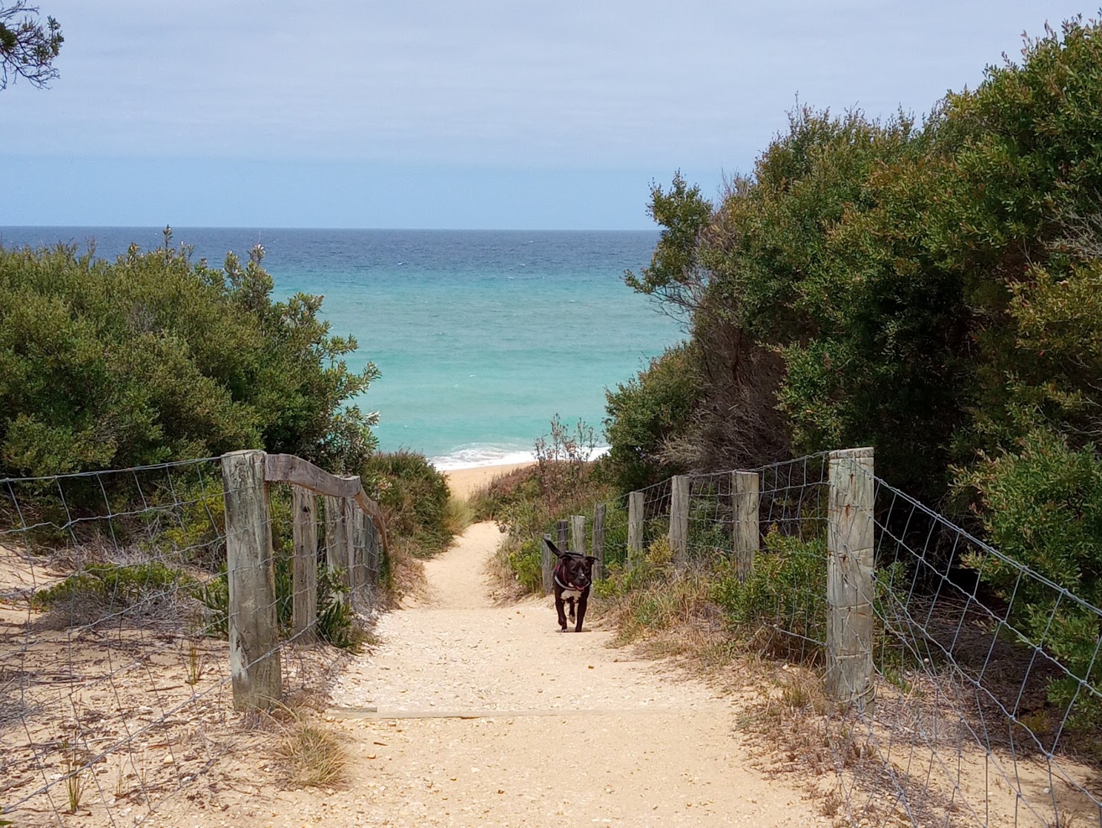 Gippsland Lakes Coastal Park 3