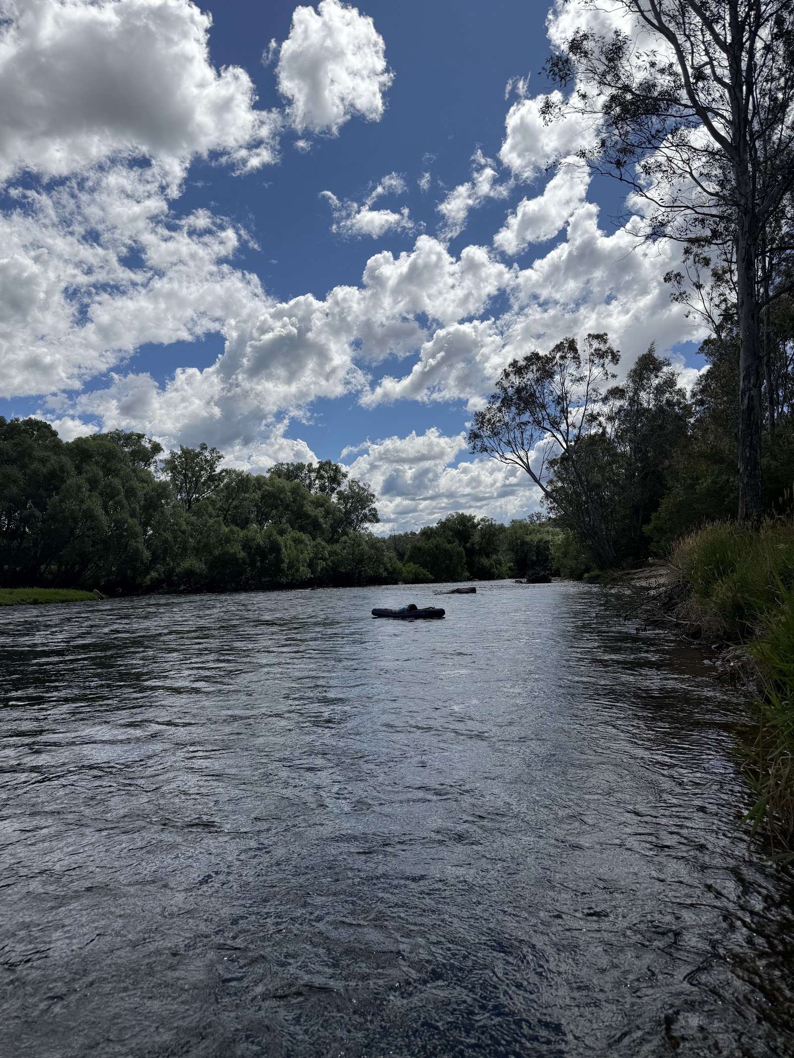 Katie Peters Reserve Campground 2