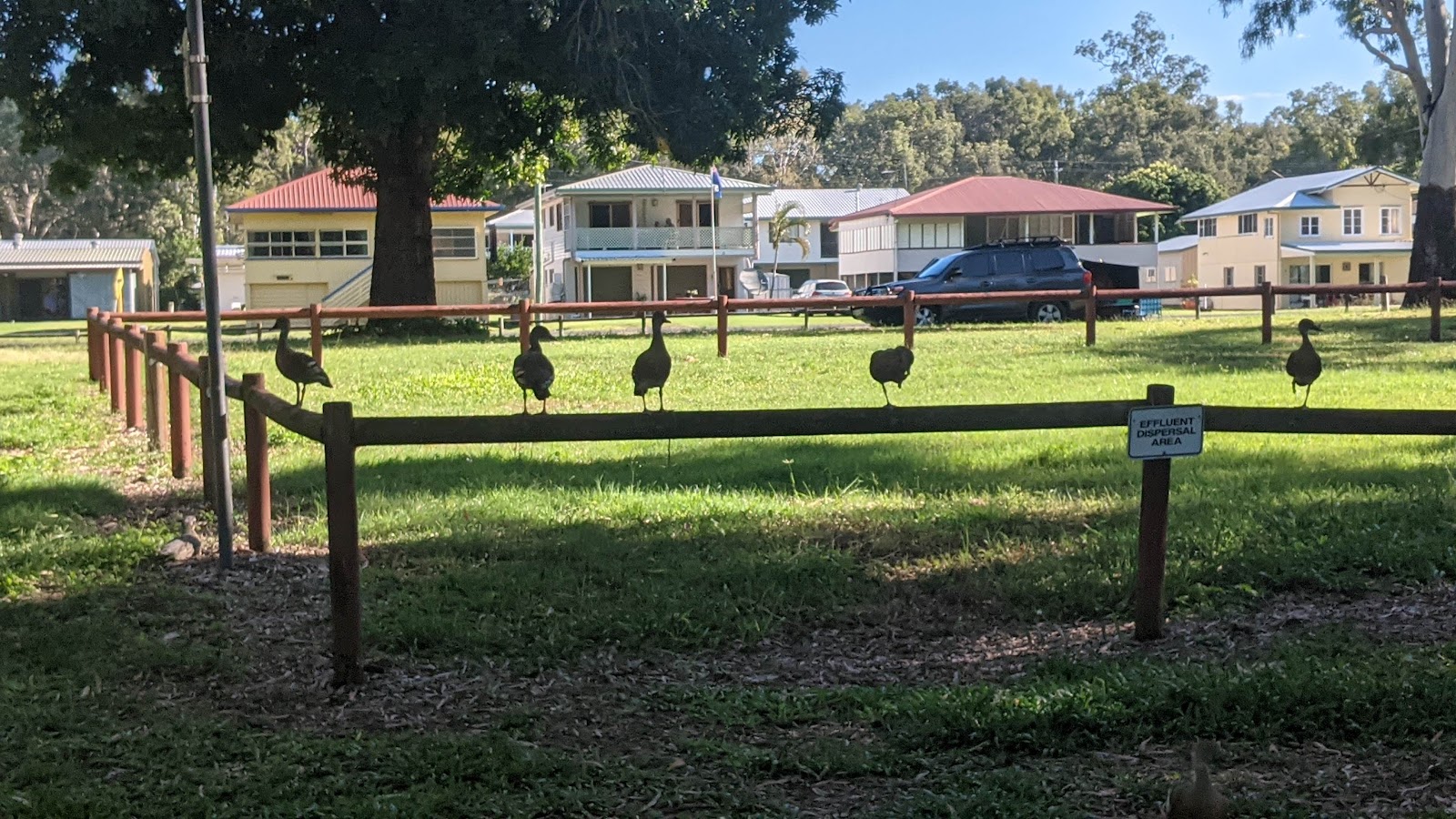 Seaforth Caravan and Camping Reserve 2
