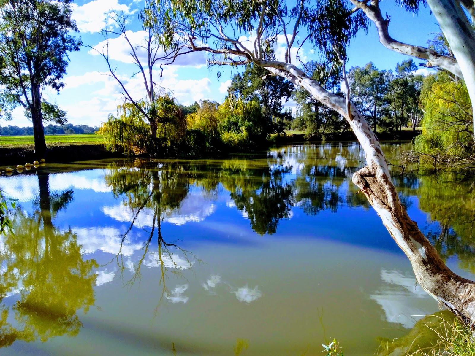 Jemalong Weir - Upstream 2