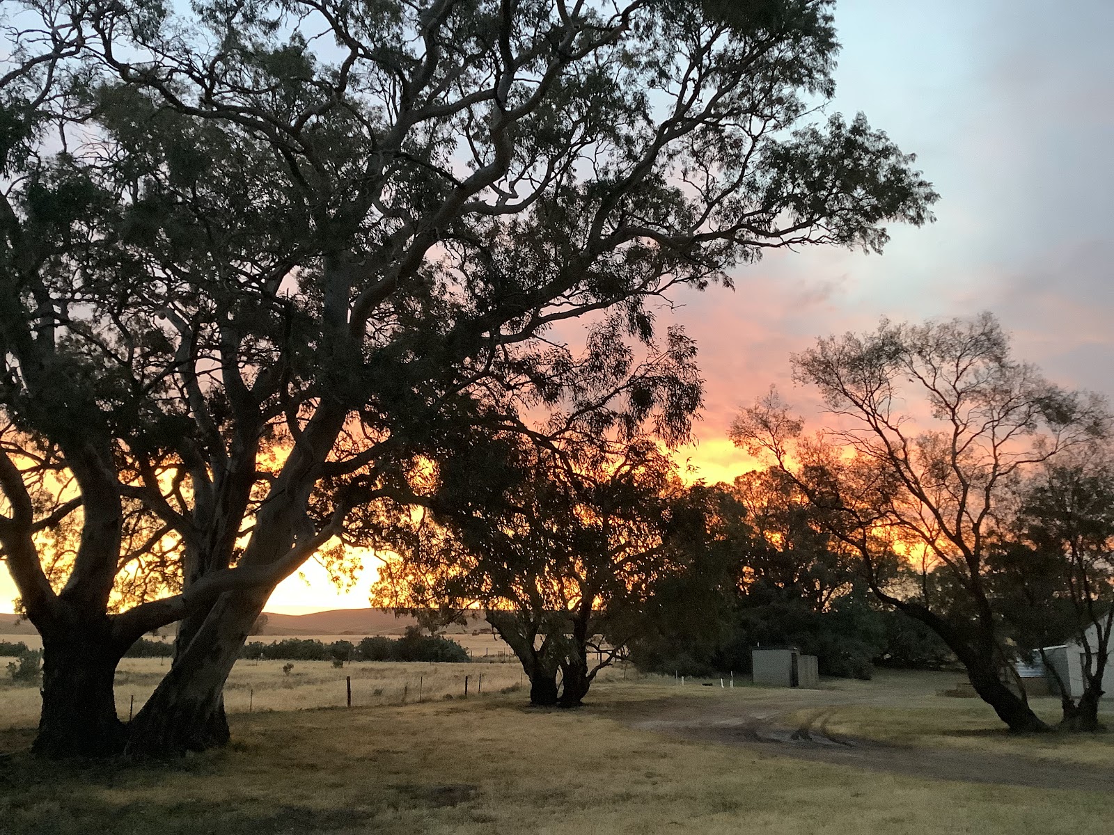 Towitta Campground 2