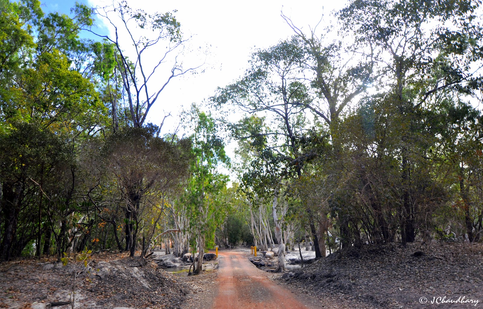 Hann Crossing Camping area, Rinyirru (Lakefield) National Park 2