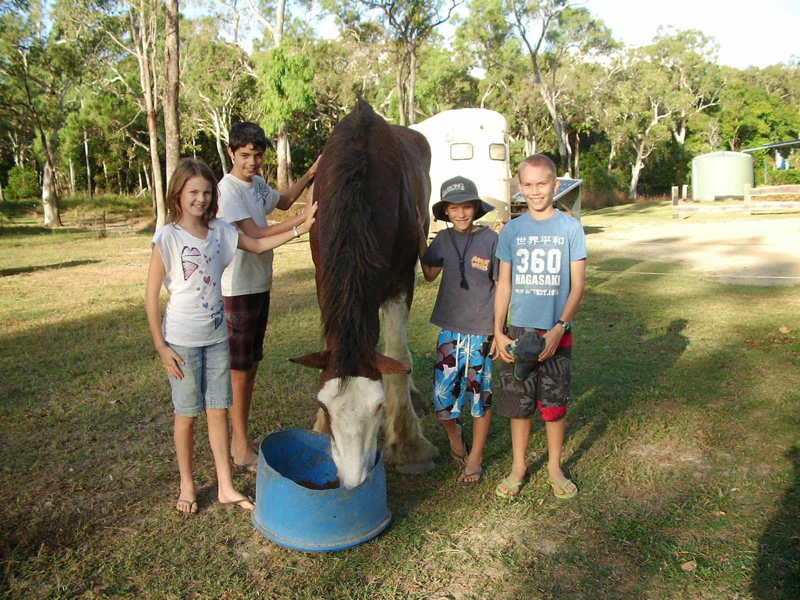 Endeavour River Escape 6