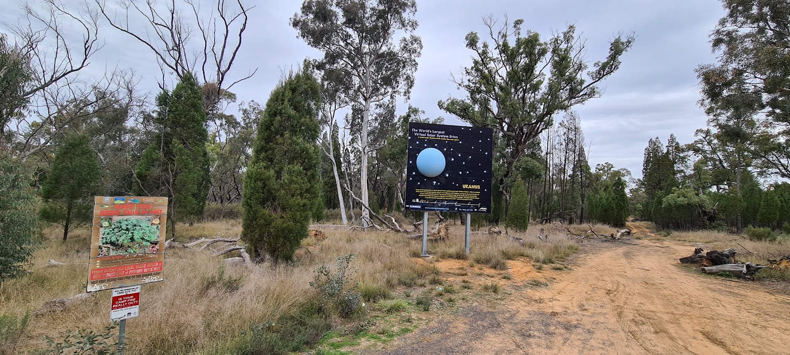 Yamminba Rest Area 2
