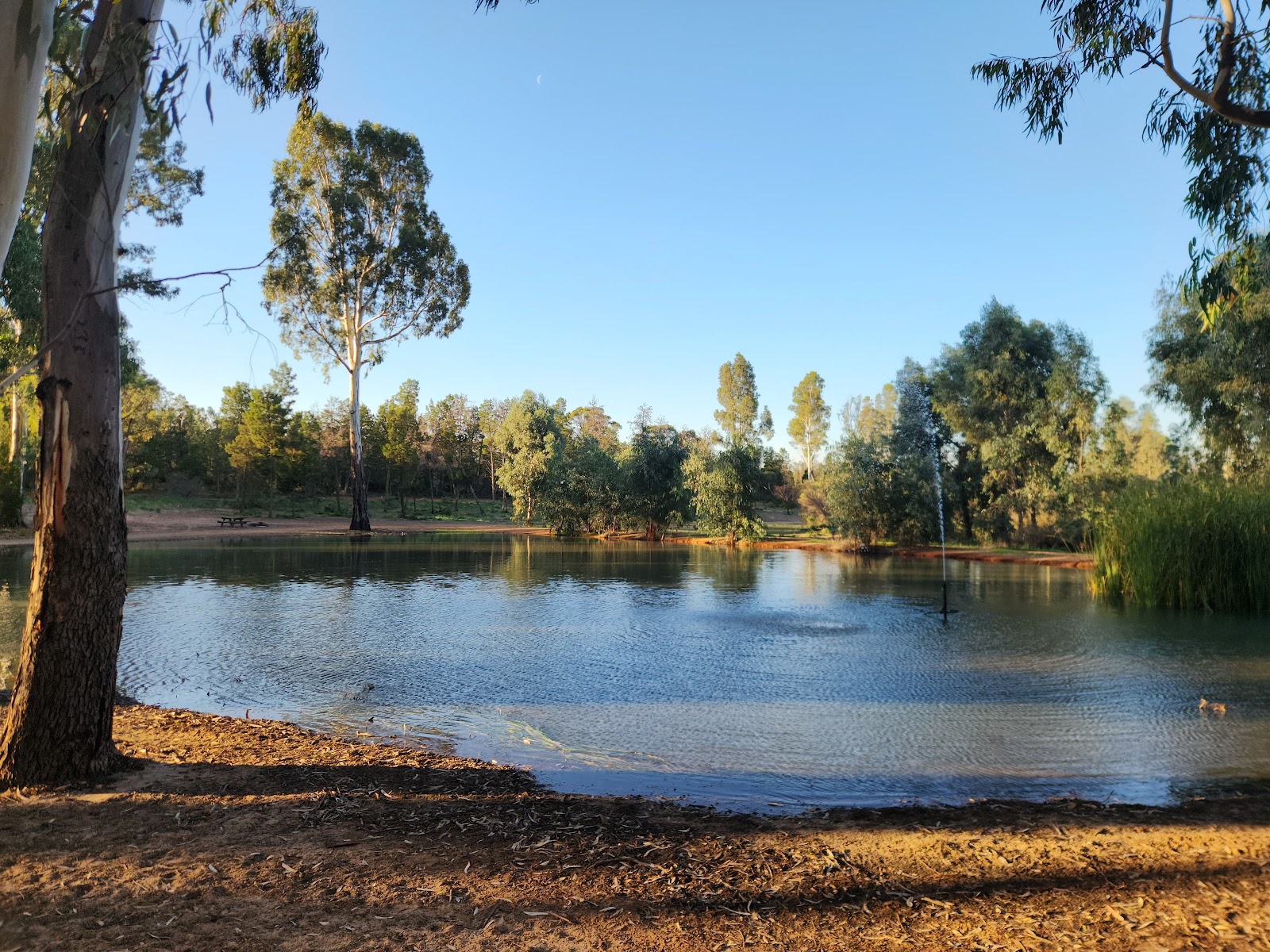 Lake Walpeup Reserve Camping Area 2