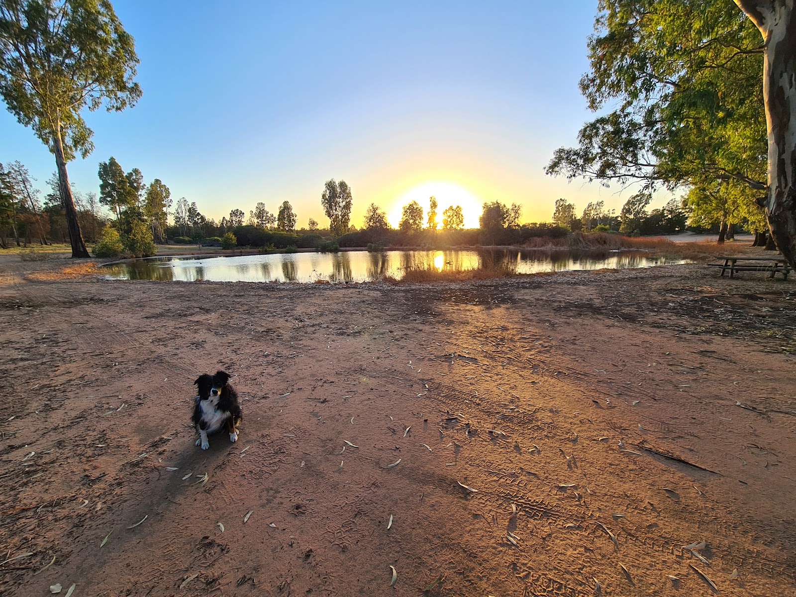 Lake Walpeup Reserve Camping Area 5