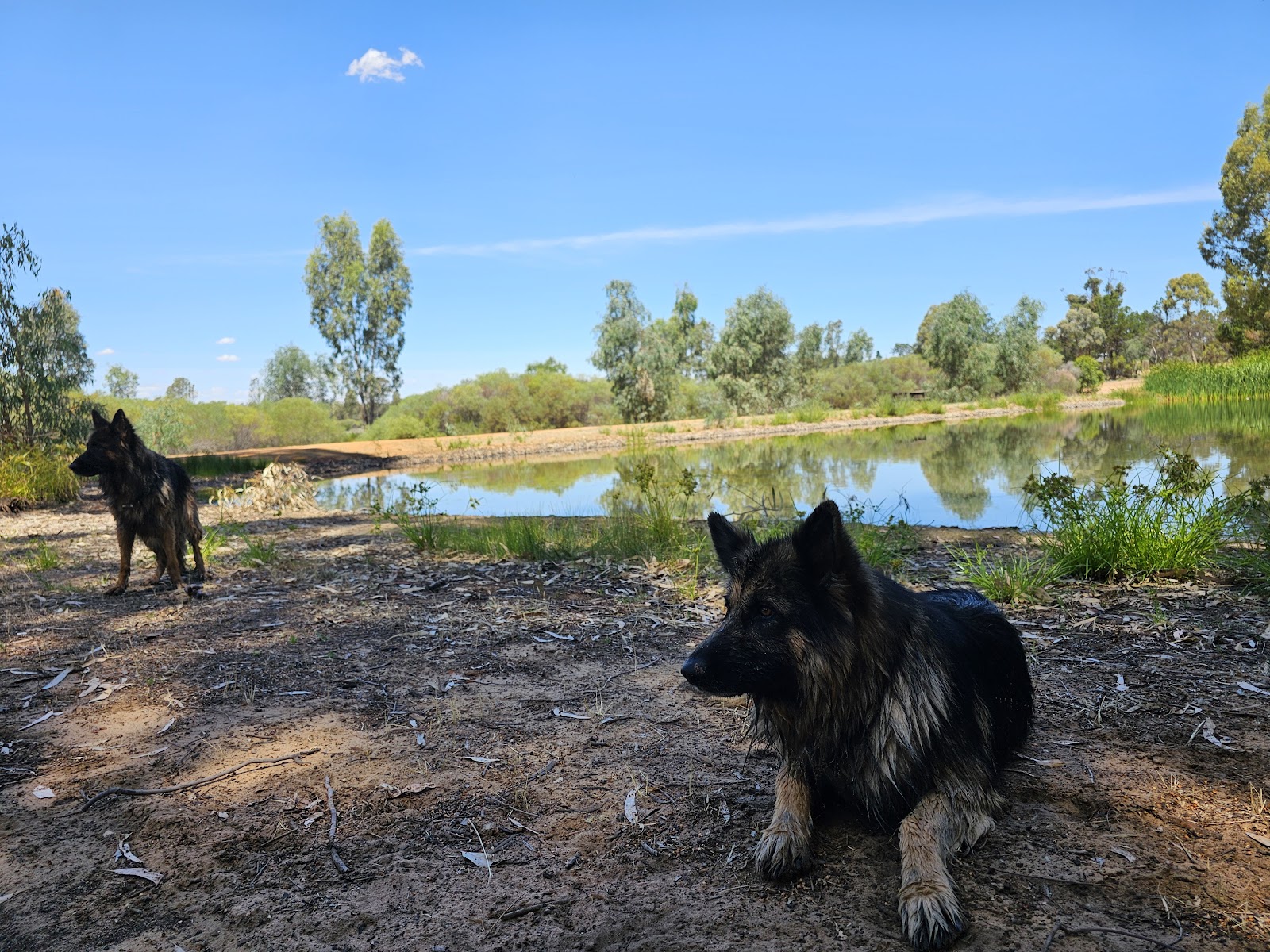 Lake Walpeup Reserve Camping Area 4