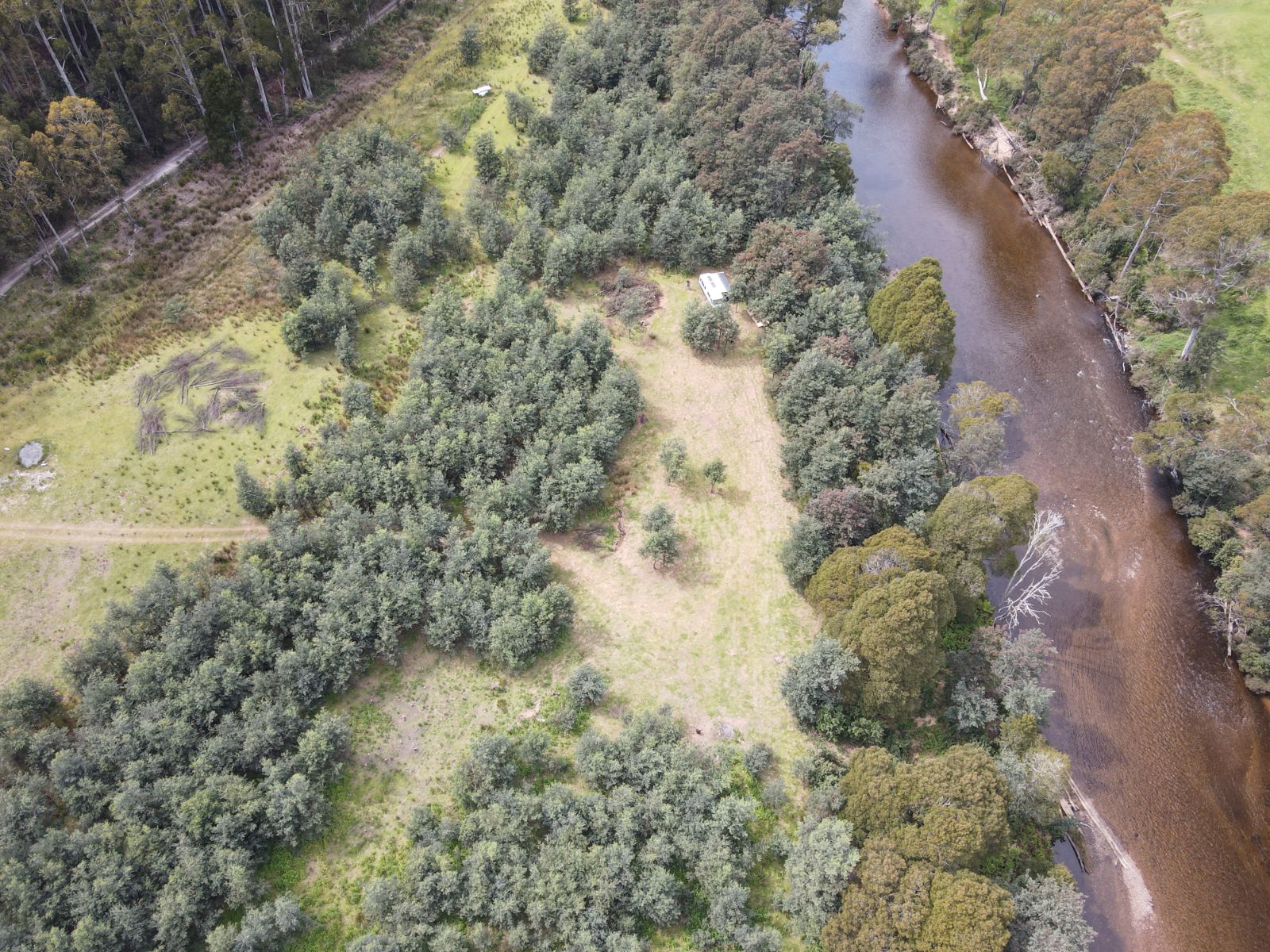 Leven River Camping on Wattle Farm 3