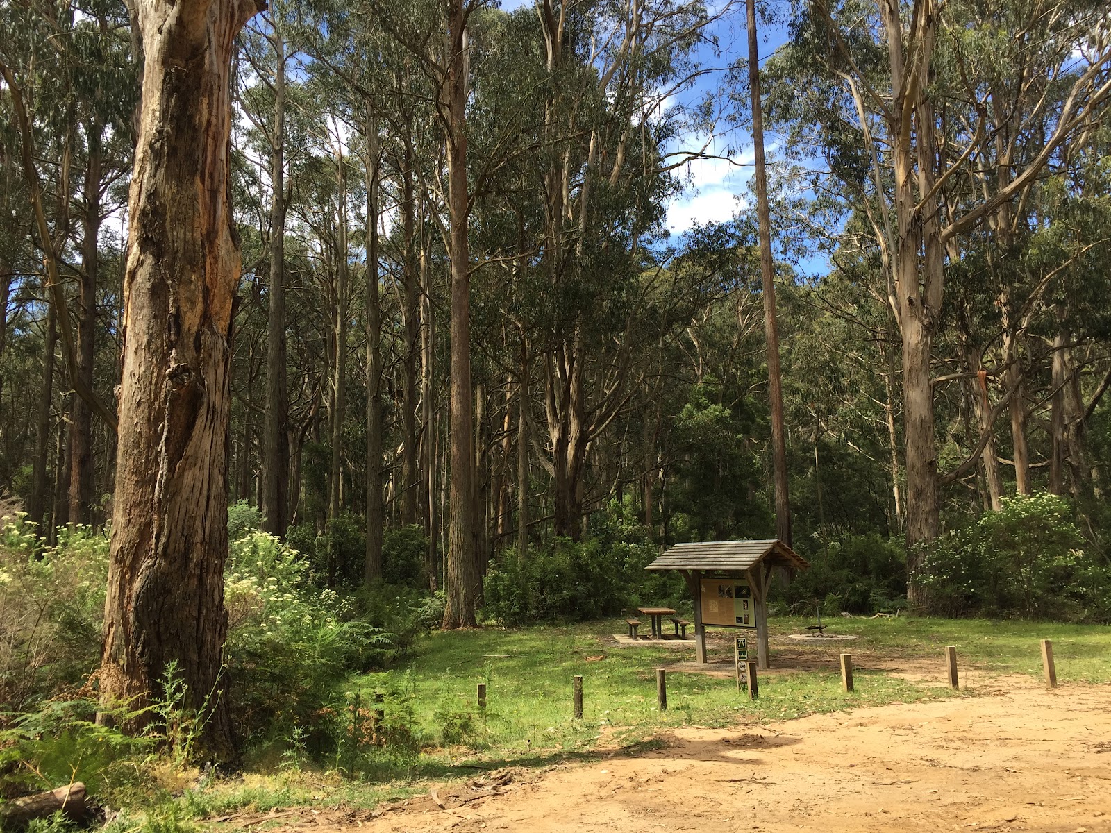 Spring Creek Sawmill 2