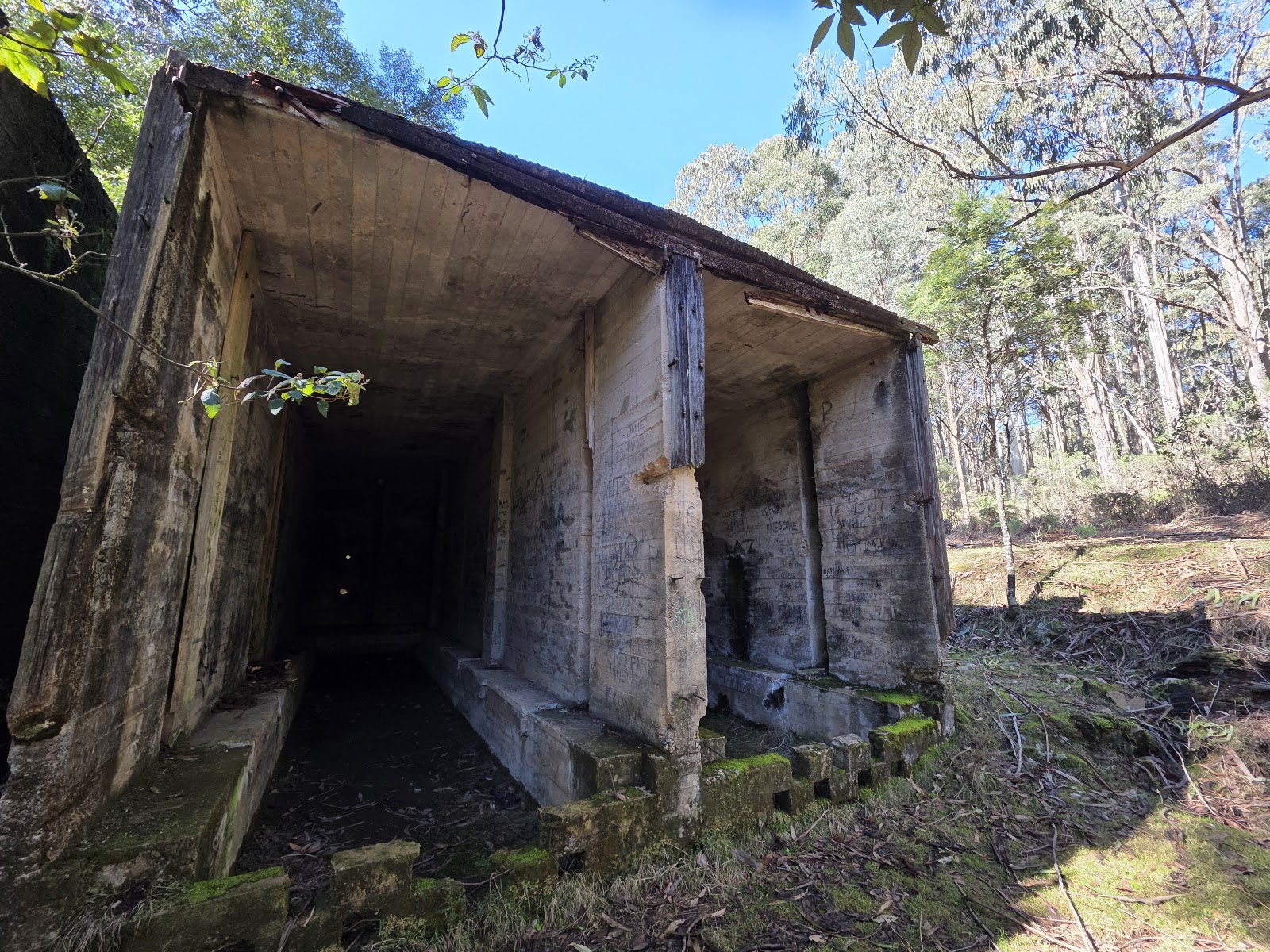 Spring Creek Sawmill 3
