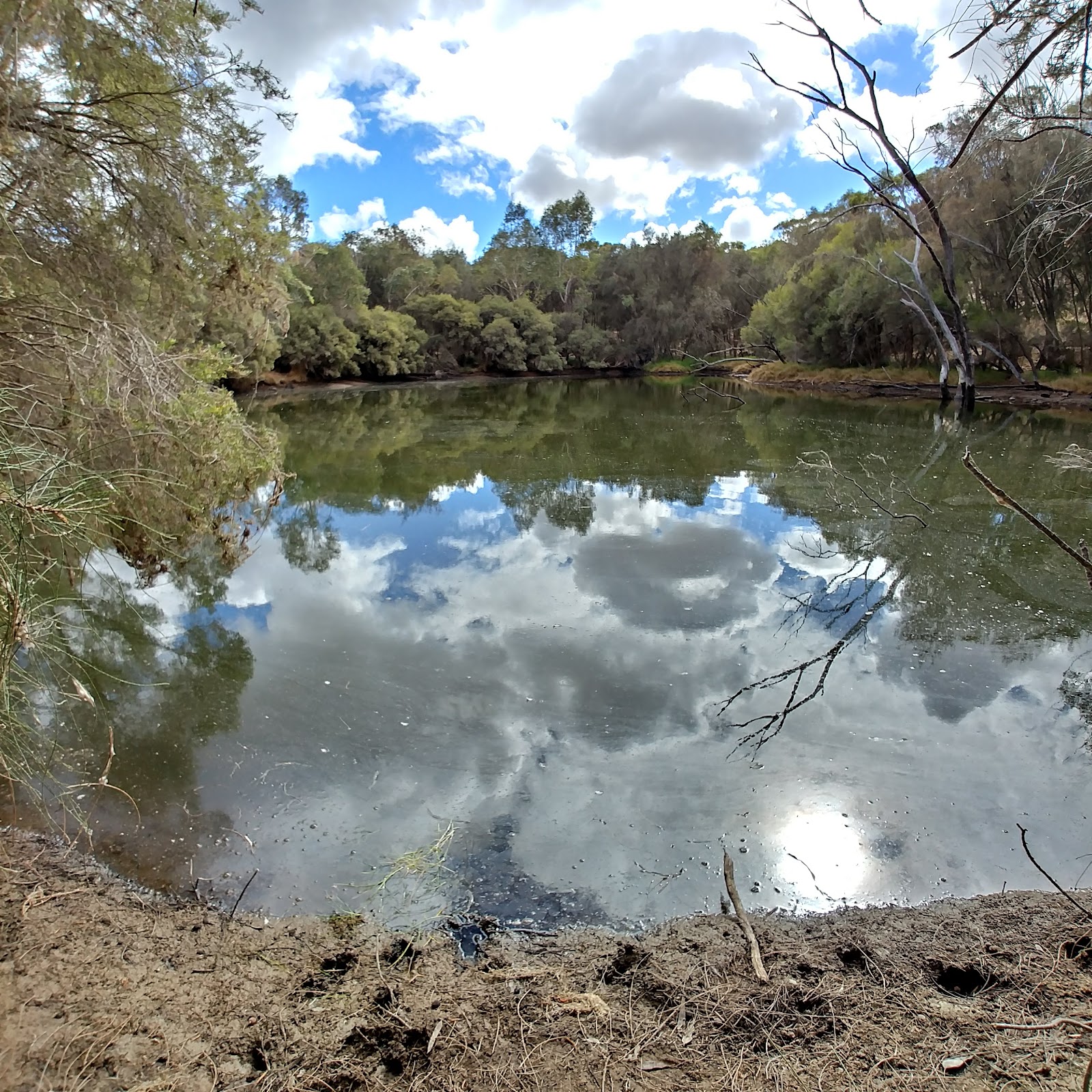 Eadine Springs Picnic Area 2