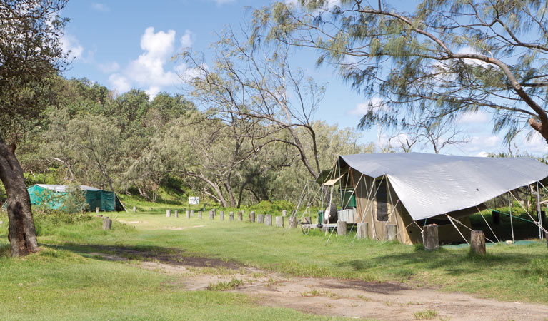 Pebbly Beach campground - Yuraygir National Park 2