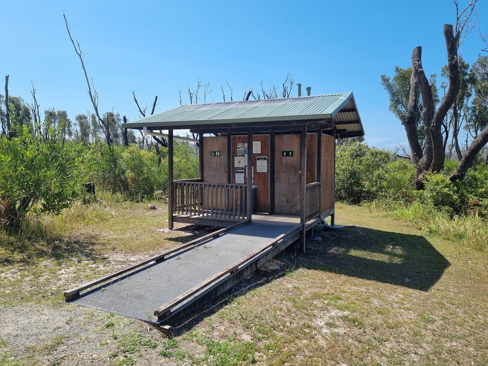 Crowdy Gap Campground 2