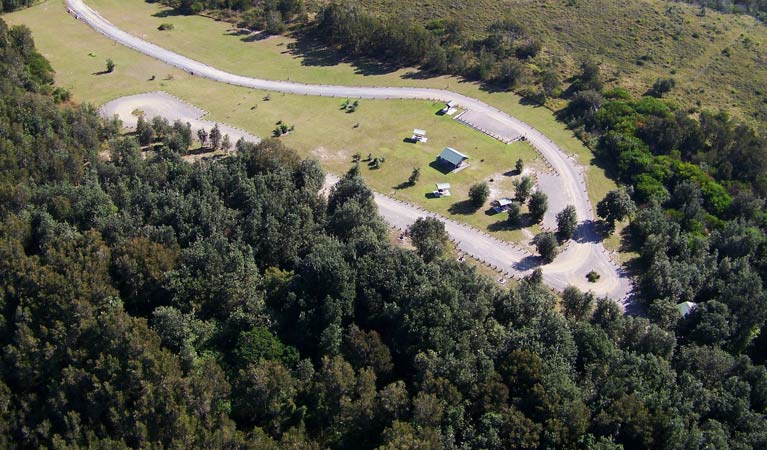 Crowdy Gap Campground 5