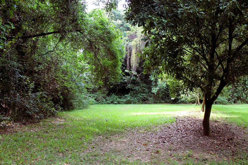 Hidden Valley at Gro Mad Plantations 5