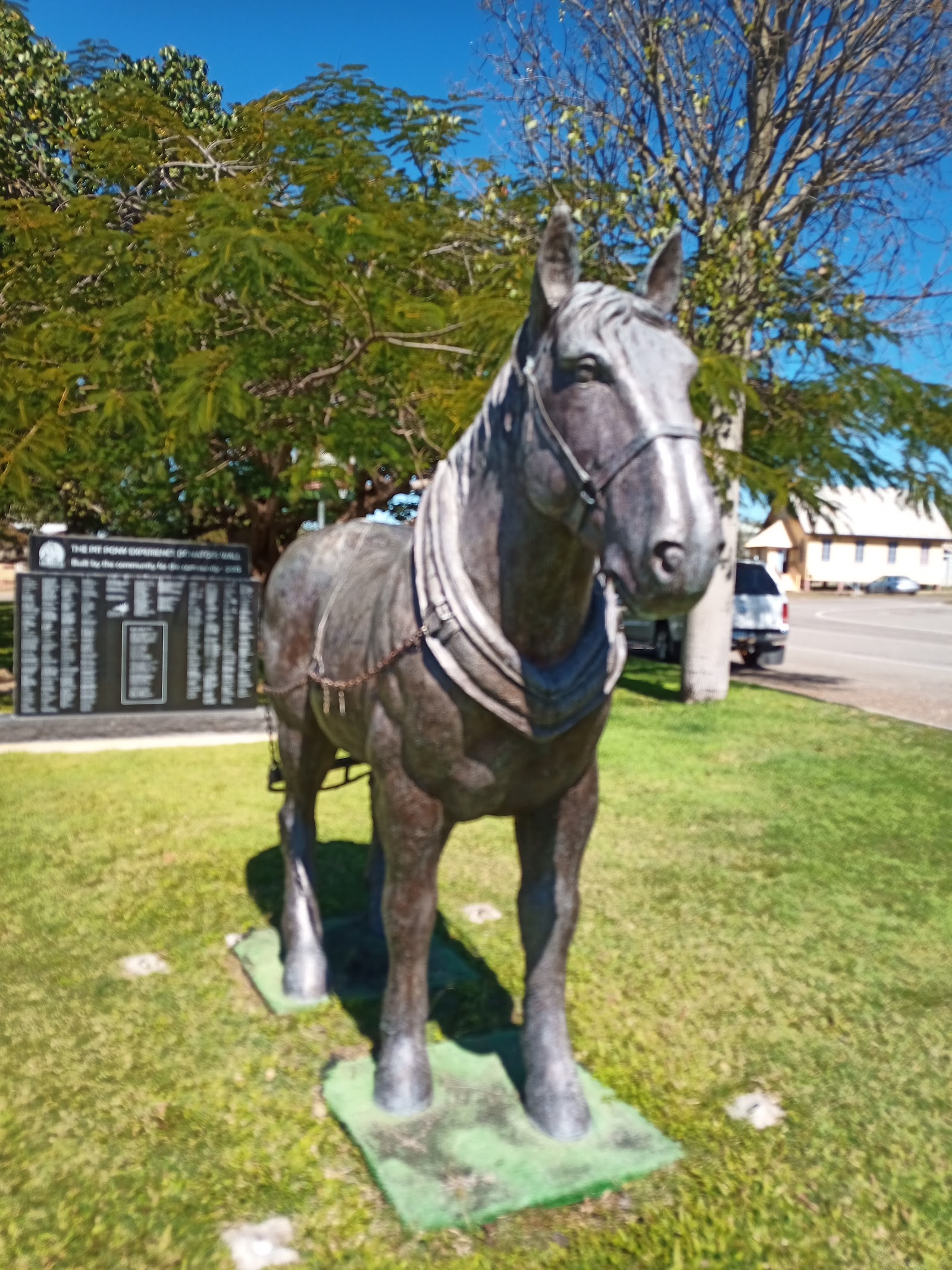 Collinsville Showgrounds 8