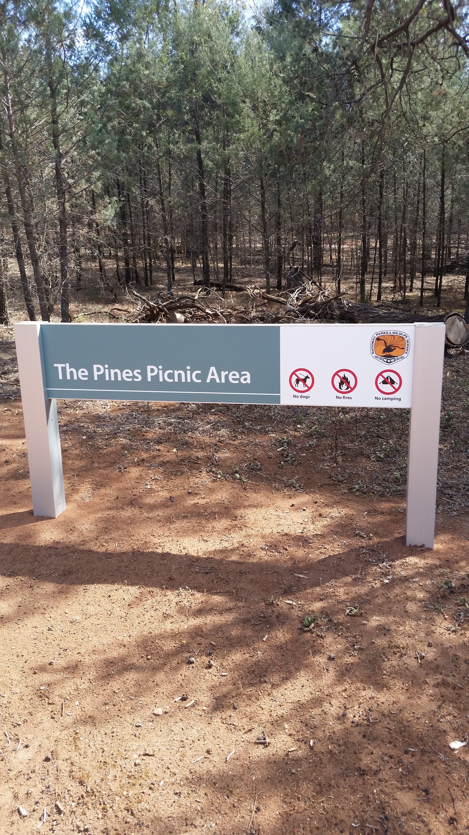 Woolshed Flat Campground 3