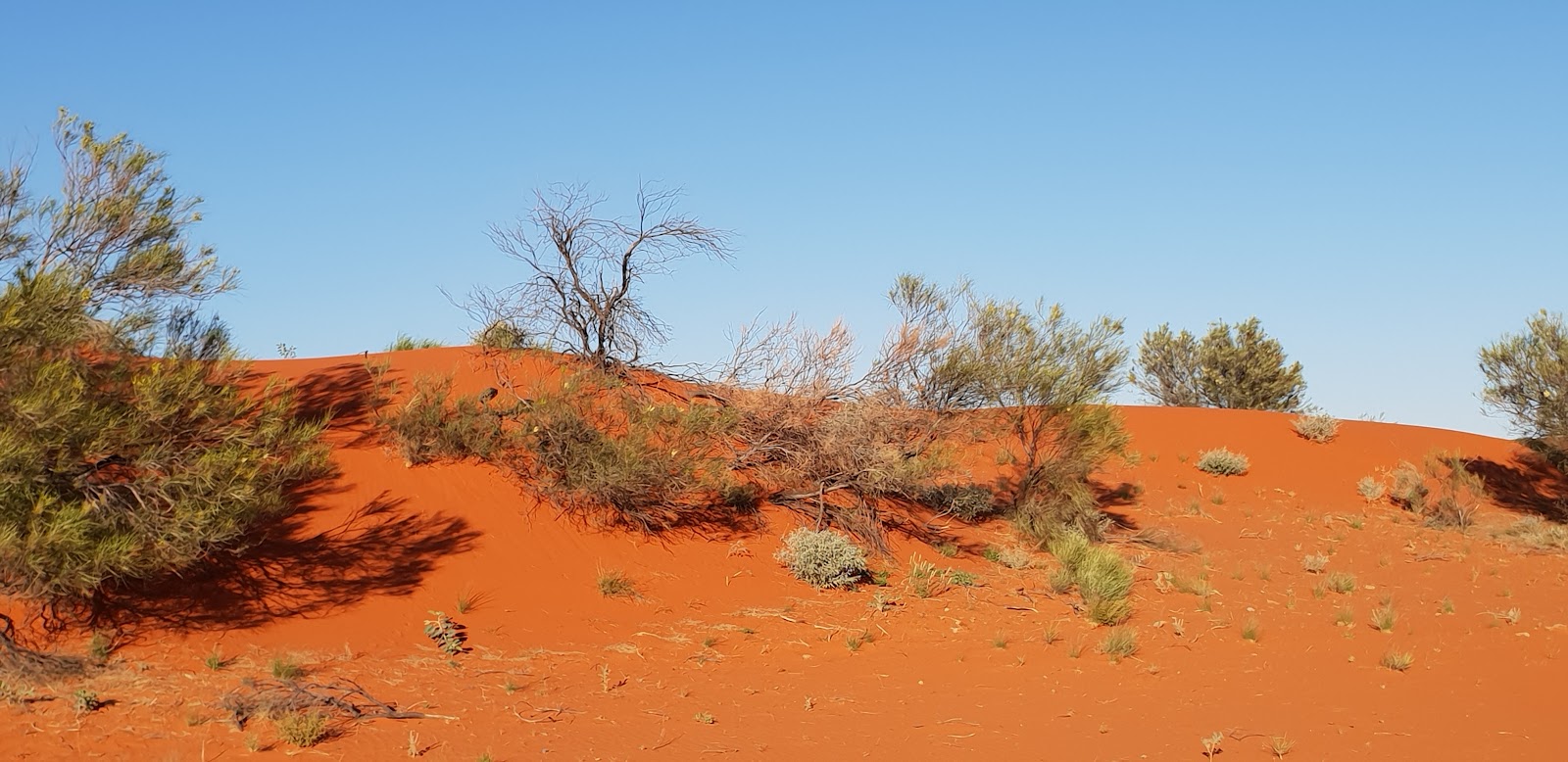 Windorah Roadhouse 3