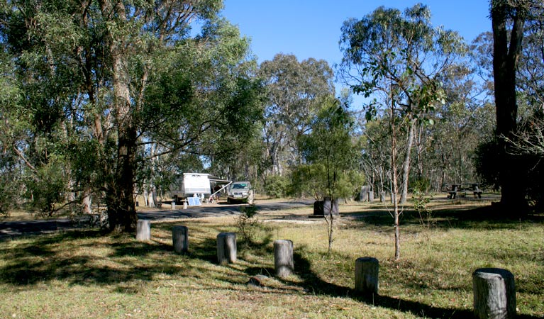 Dangars Gorge Campground 2