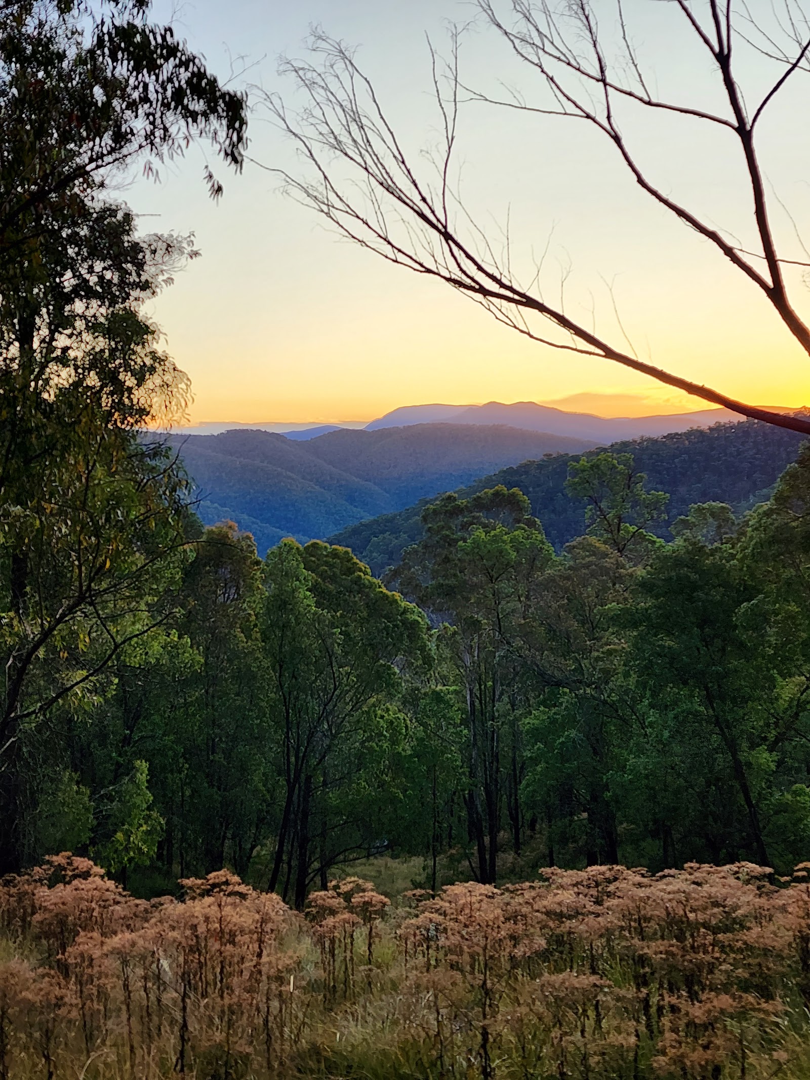 Dunphys Campground 3