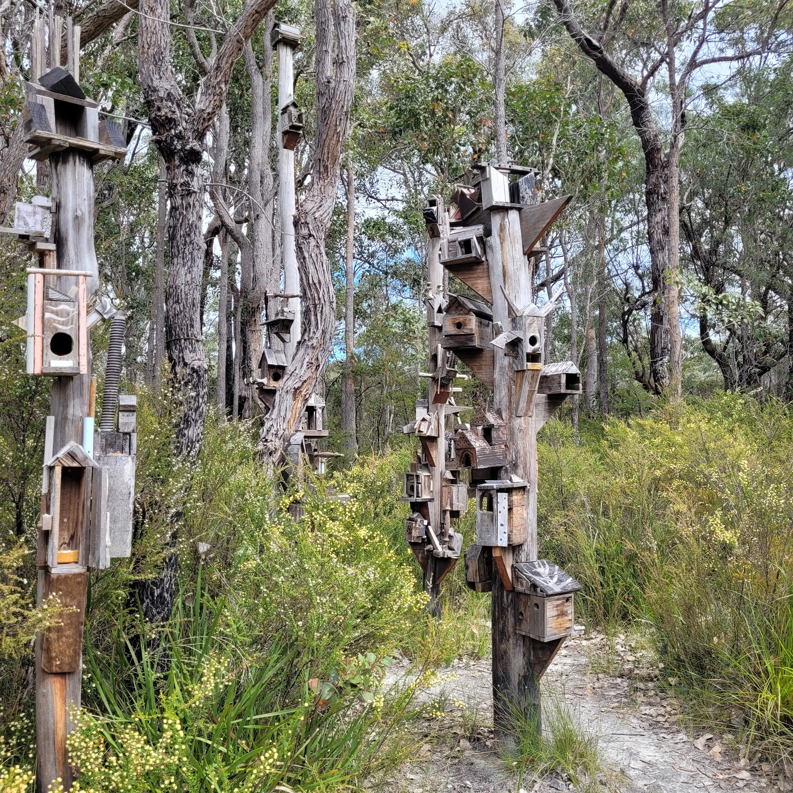 Northcliffe Visitor Centre 3