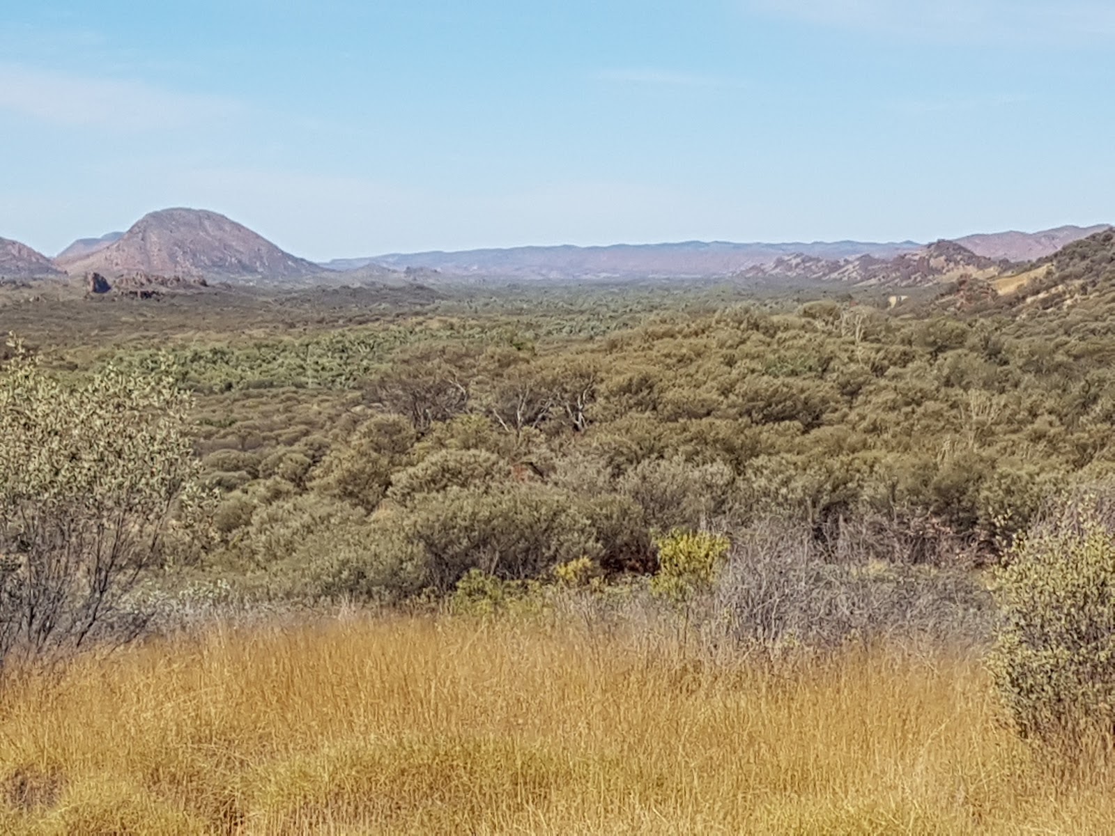 Neil Hargrave Lookout 2