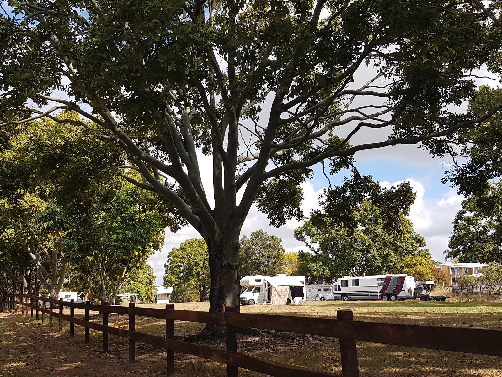 Bundaberg CMCA RV Park 2