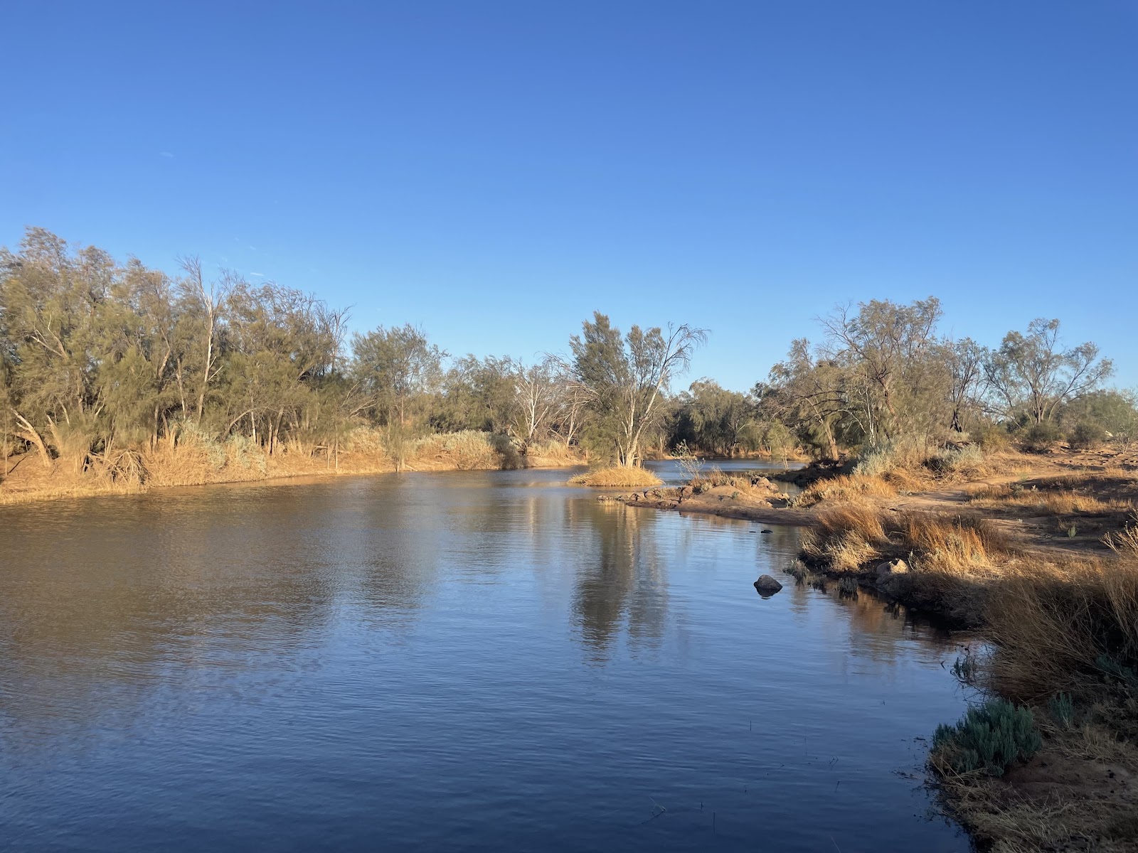 Galena Bridge Camp Area South Side 2