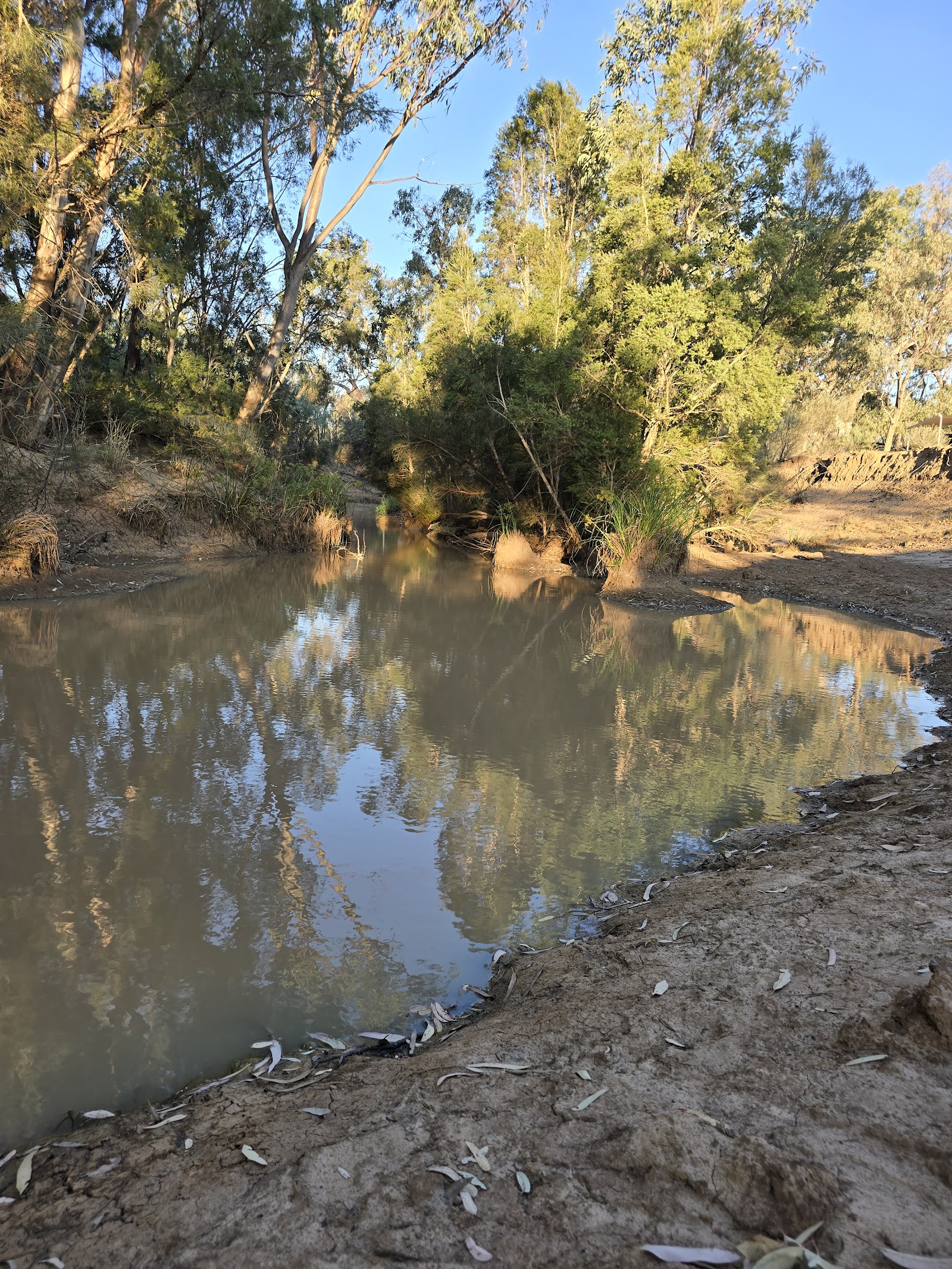 Bulloo River 8