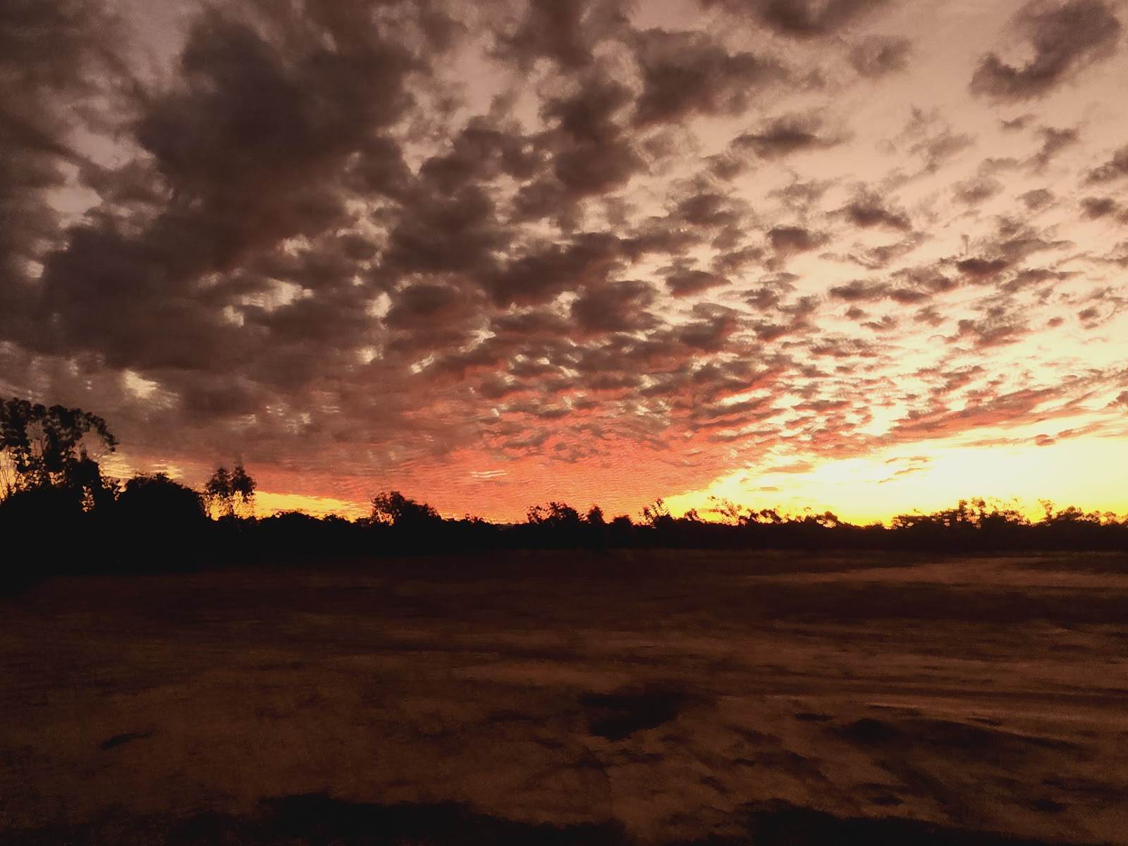 Bulloo River 4
