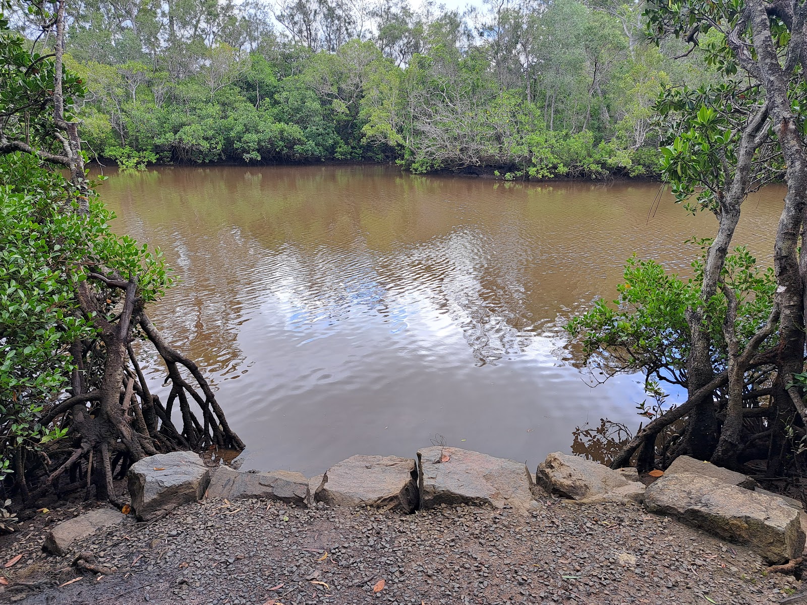 Coochin Creek camping area 3