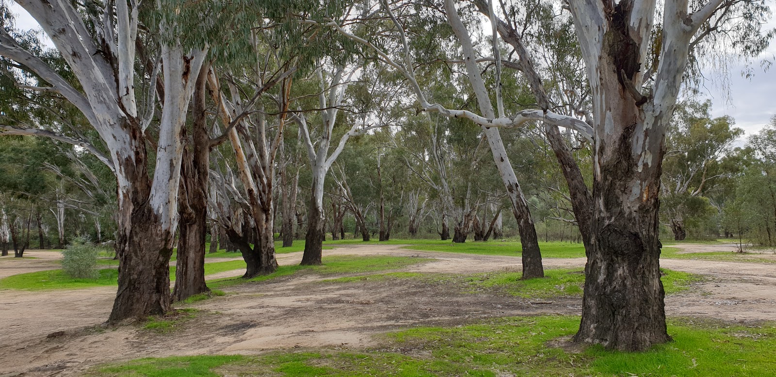 Mulwala campground 4