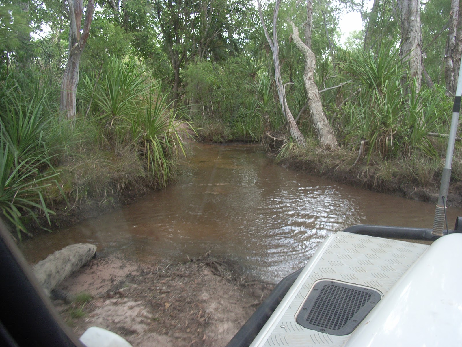 Tjaynera Falls Campground (Sandy Creek campground) 3