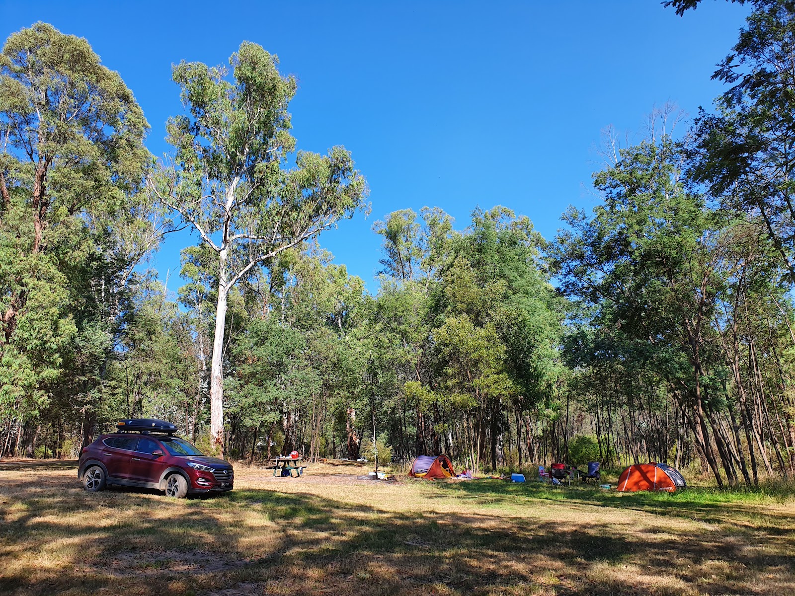 Tea Tree Campground 2