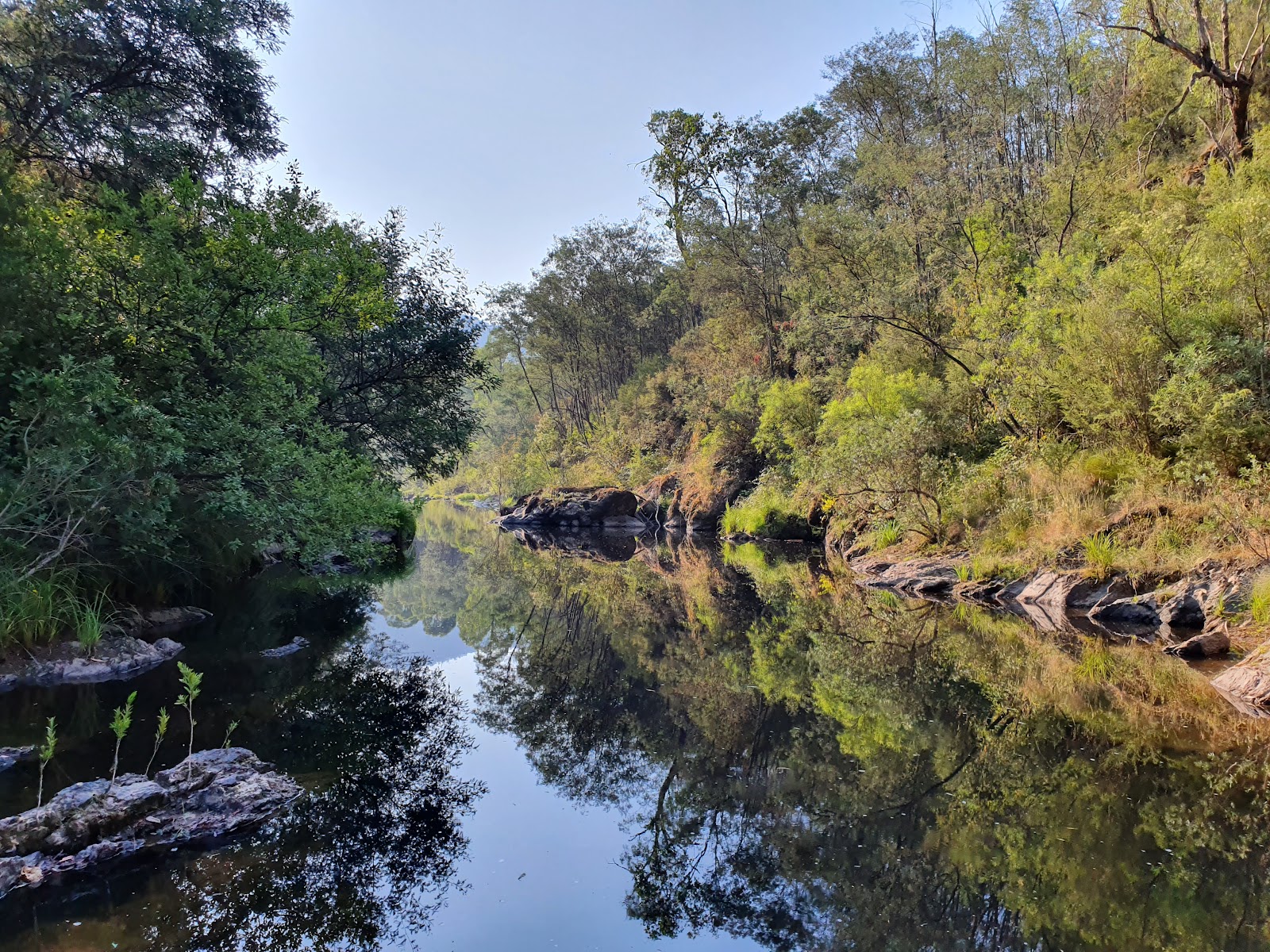 Tea Tree Campground 3