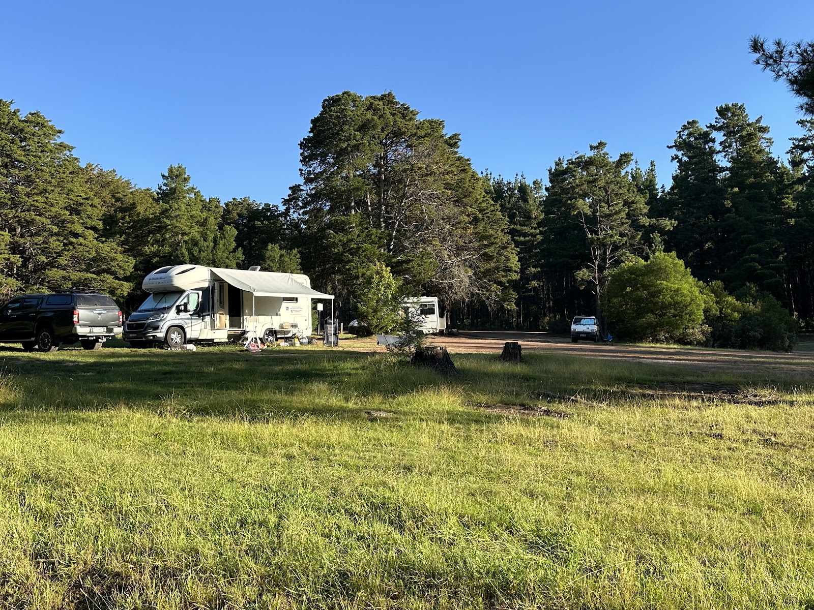 Daly's Clearing Camping Area 2