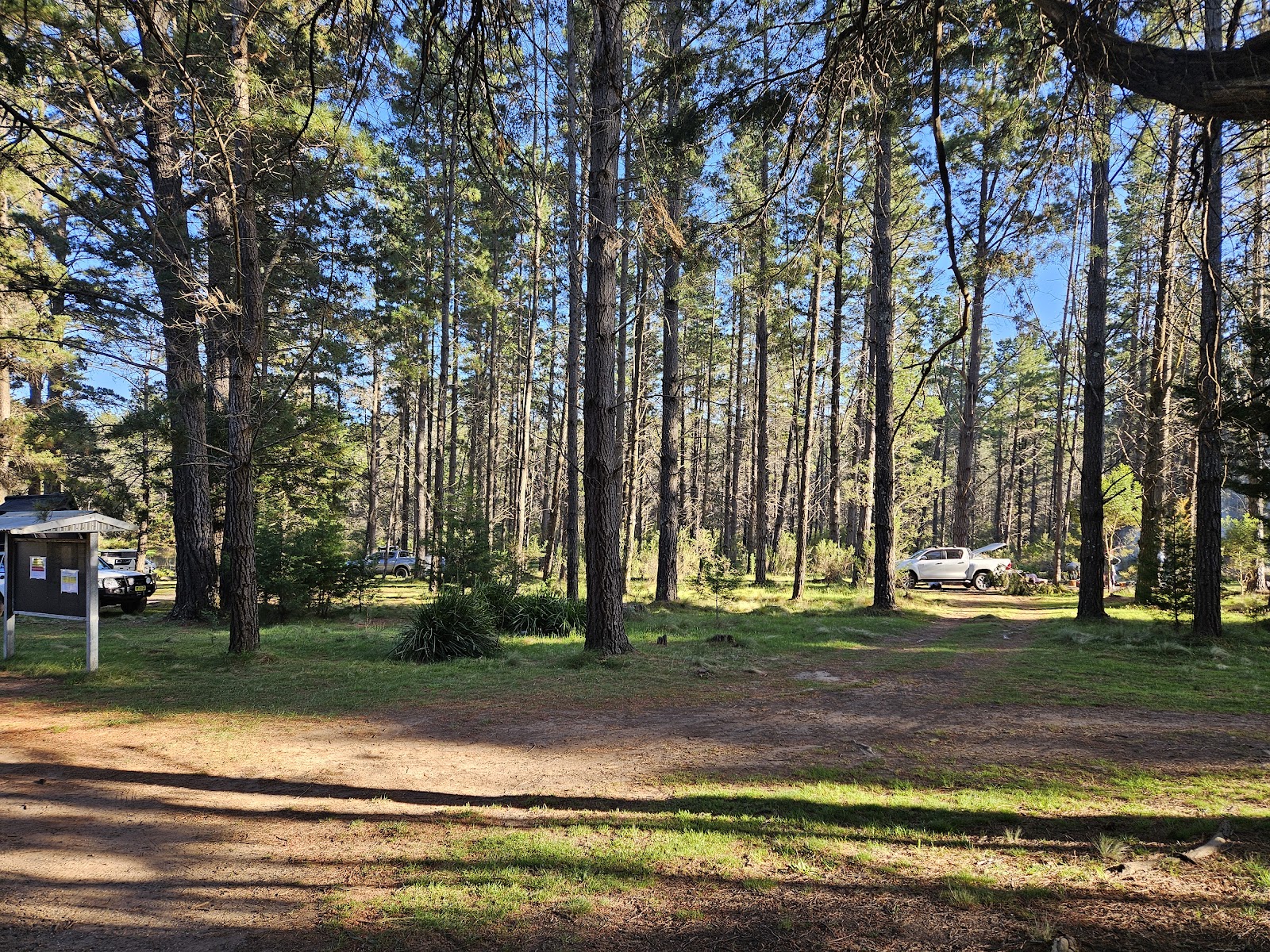 Daly's Clearing Camping Area 3