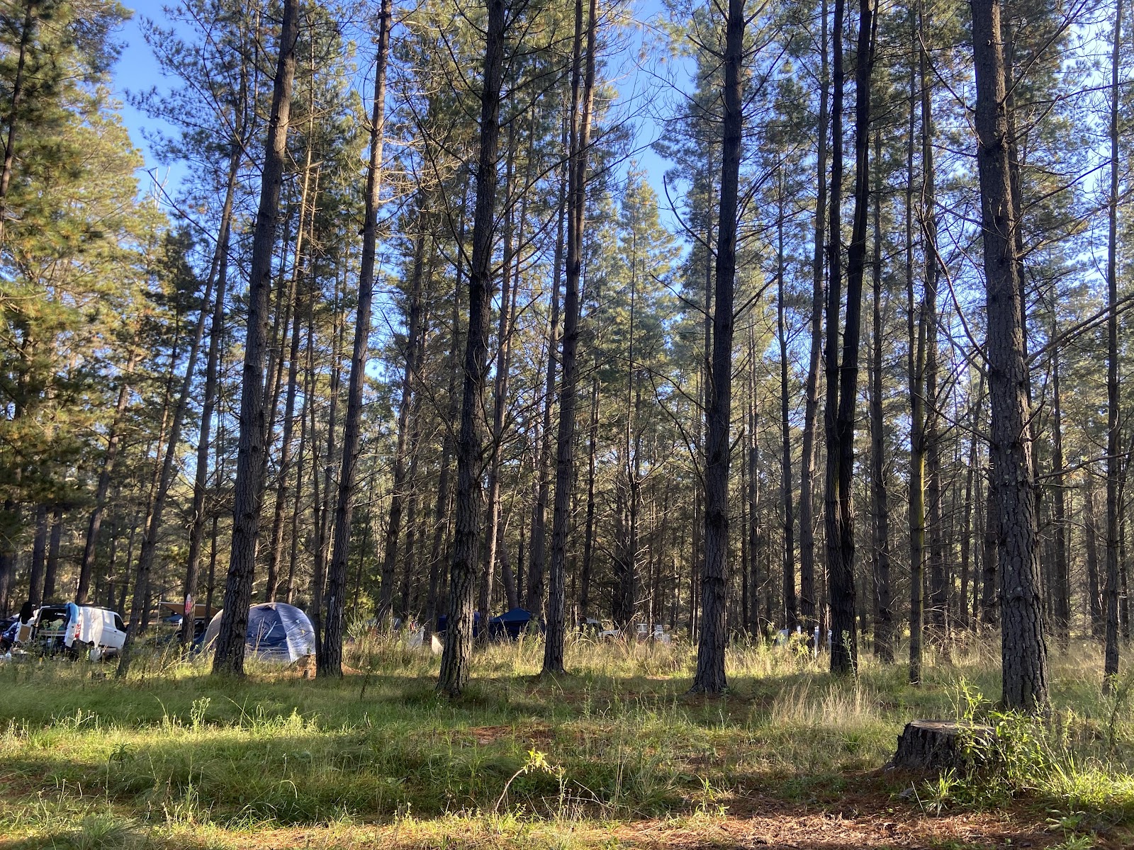 Daly's Clearing Camping Area 4