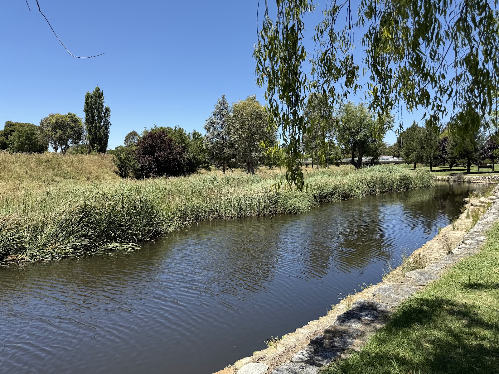 Barbour Park - Lions Club Picnic Area 2