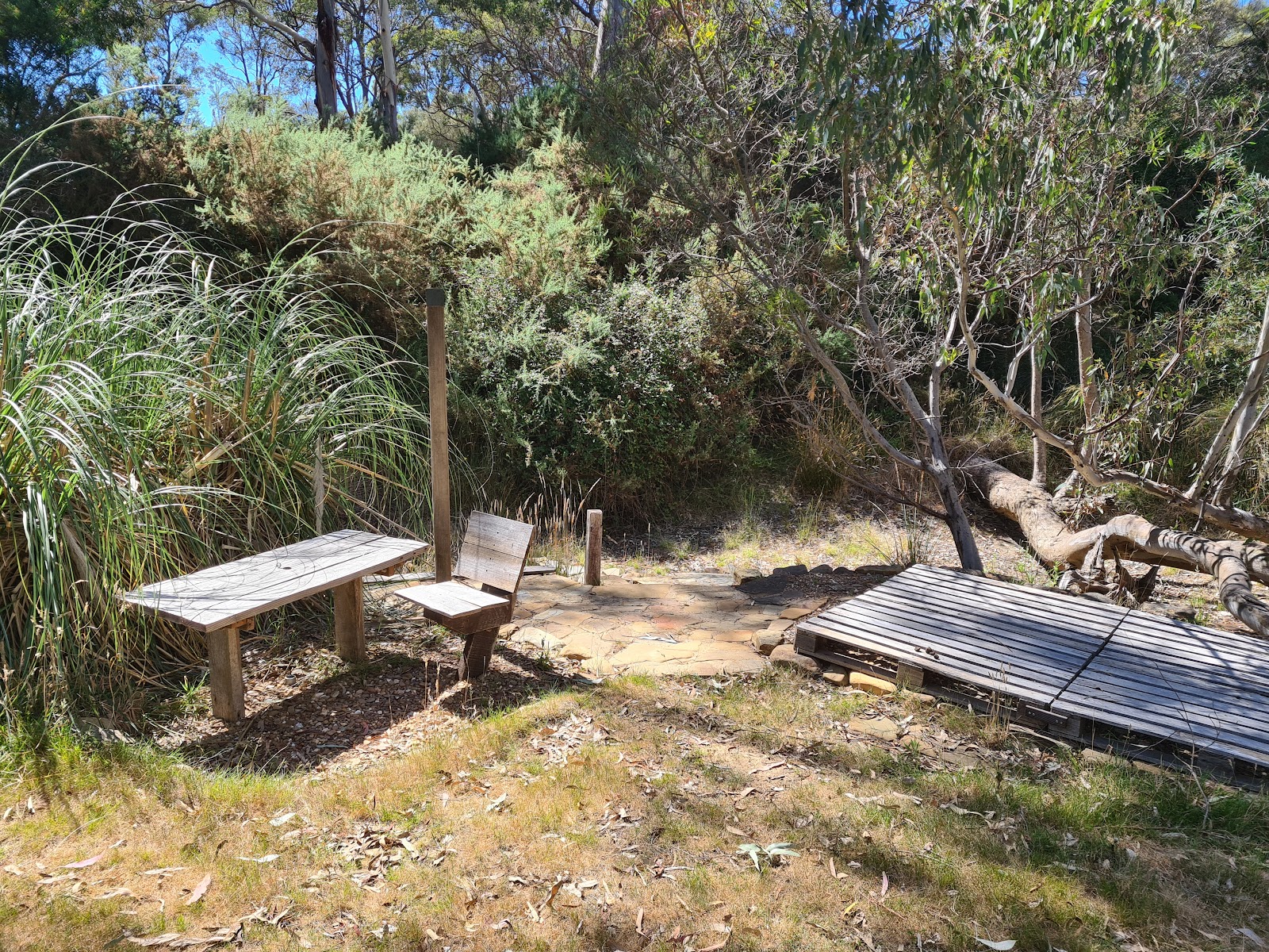 Chokem Flats Camp Ground 2