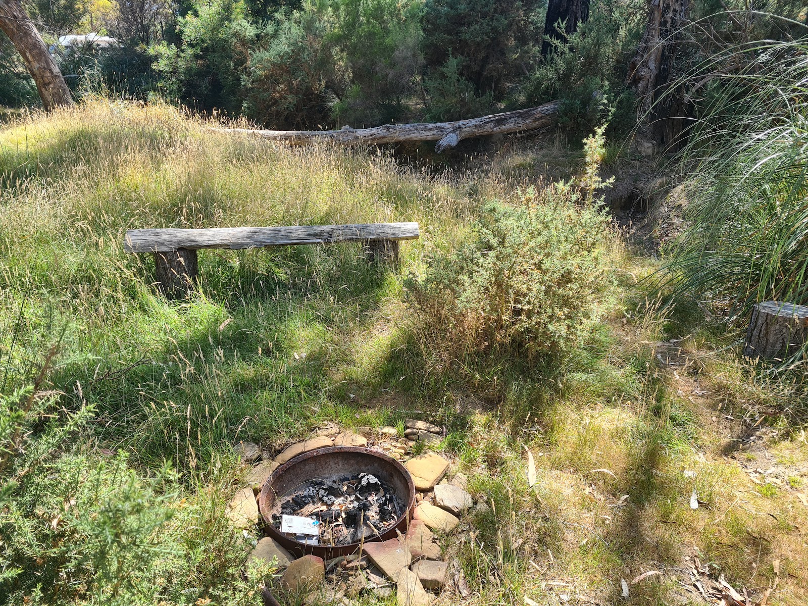 Chokem Flats Camp Ground 3