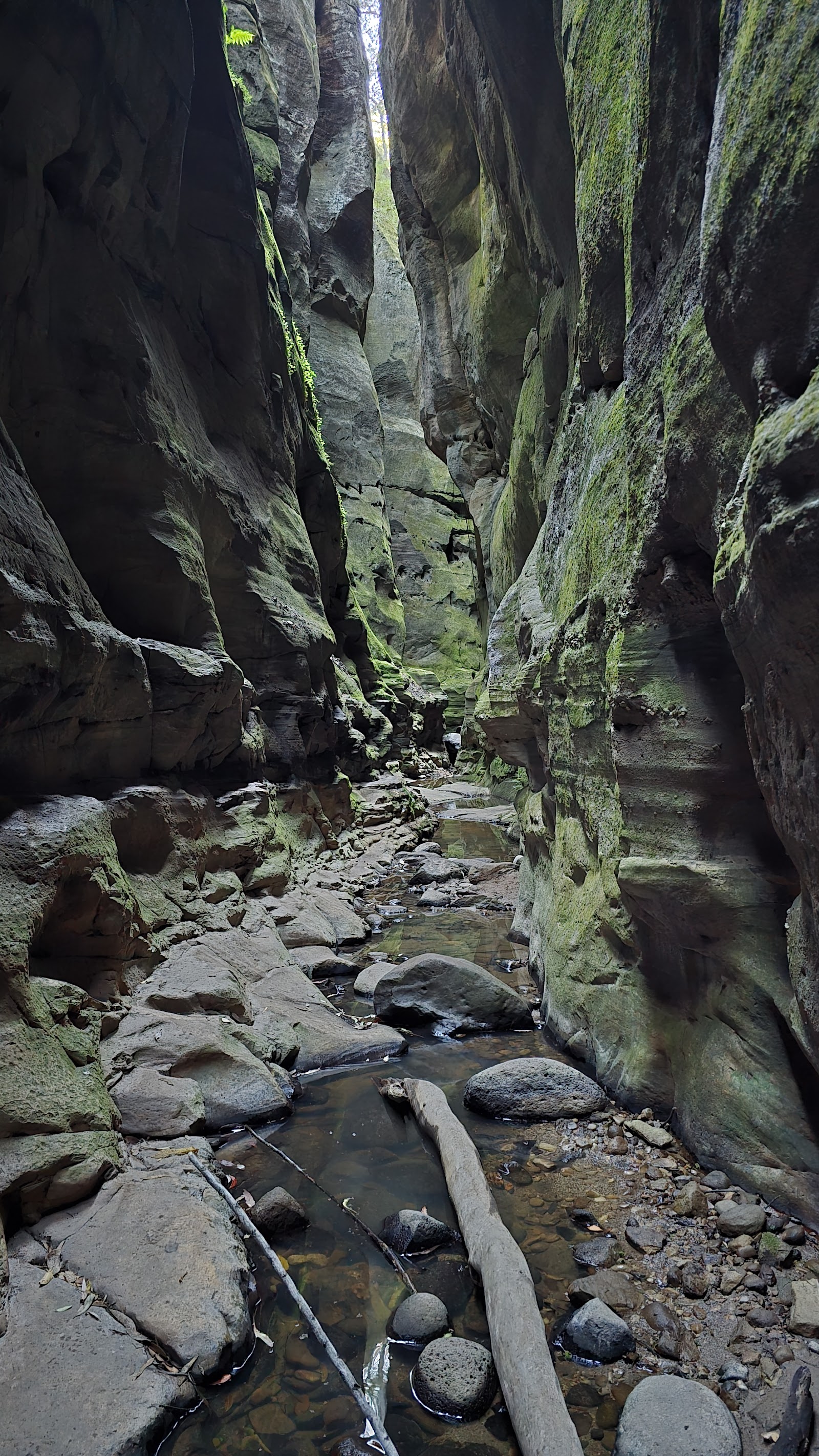 Carnarvon Gorge camping area, Carnarvon National Park 2
