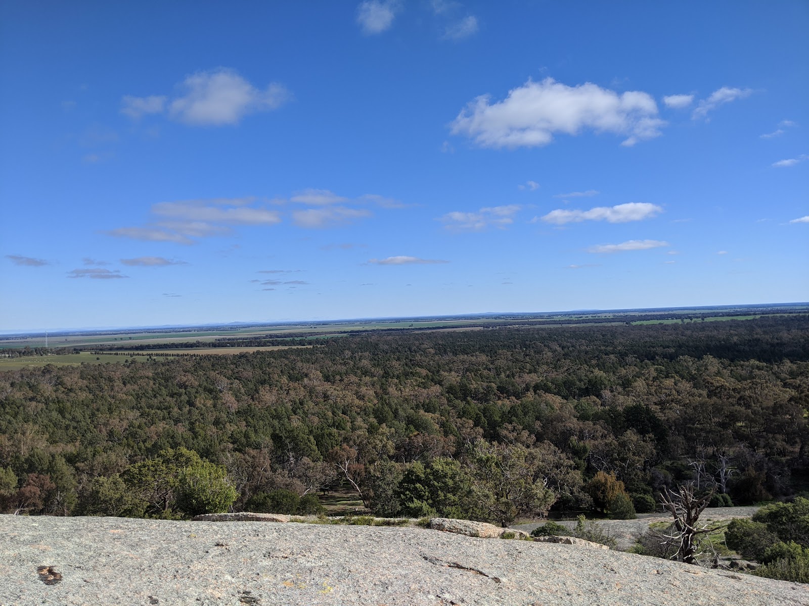 Mt Terrick Terrick Picnic Area 2