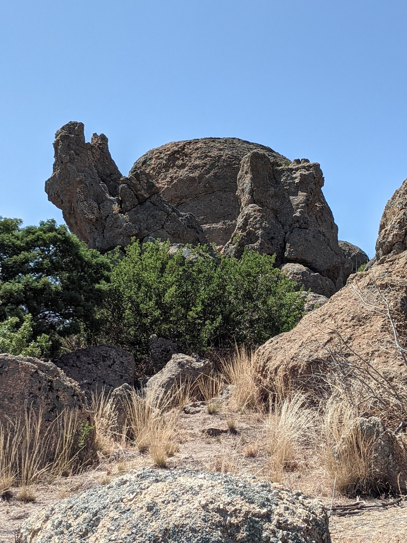 Mt Terrick Terrick Picnic Area 4