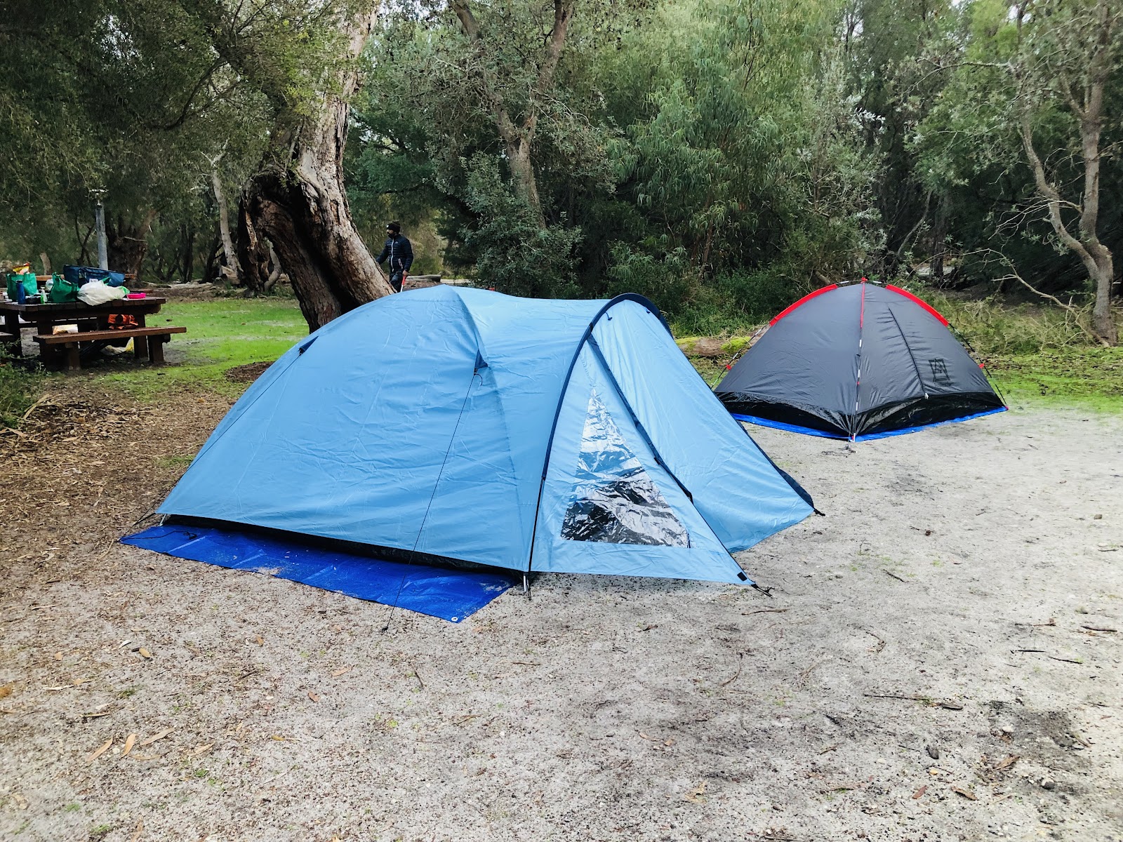 Emu Bight Camping Area 3