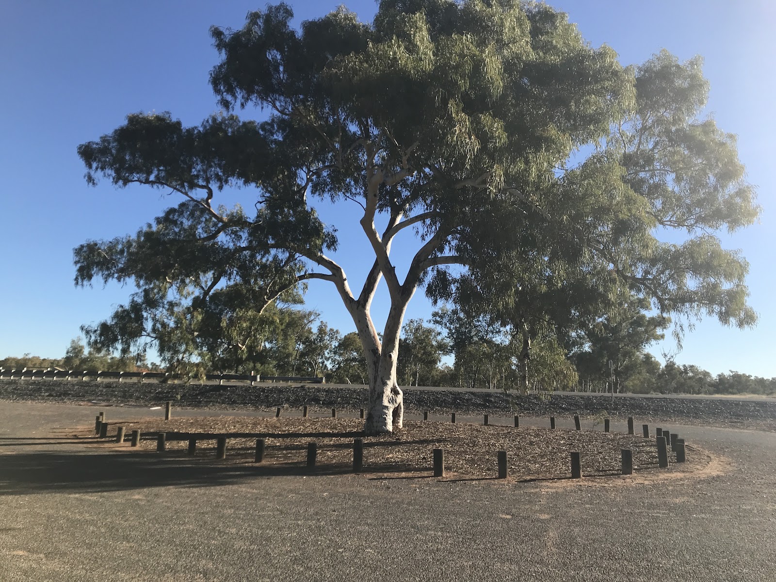 Finke River Roadside Stop 3