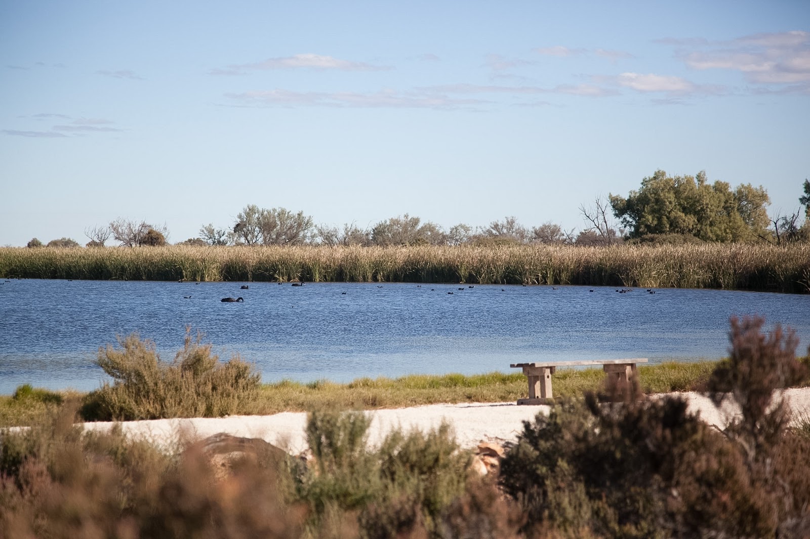 Hamelin Outback Station Stay 3