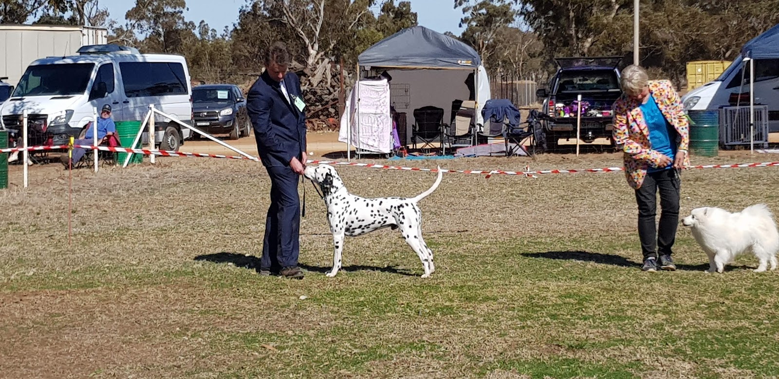 Trundle Showgrounds 2