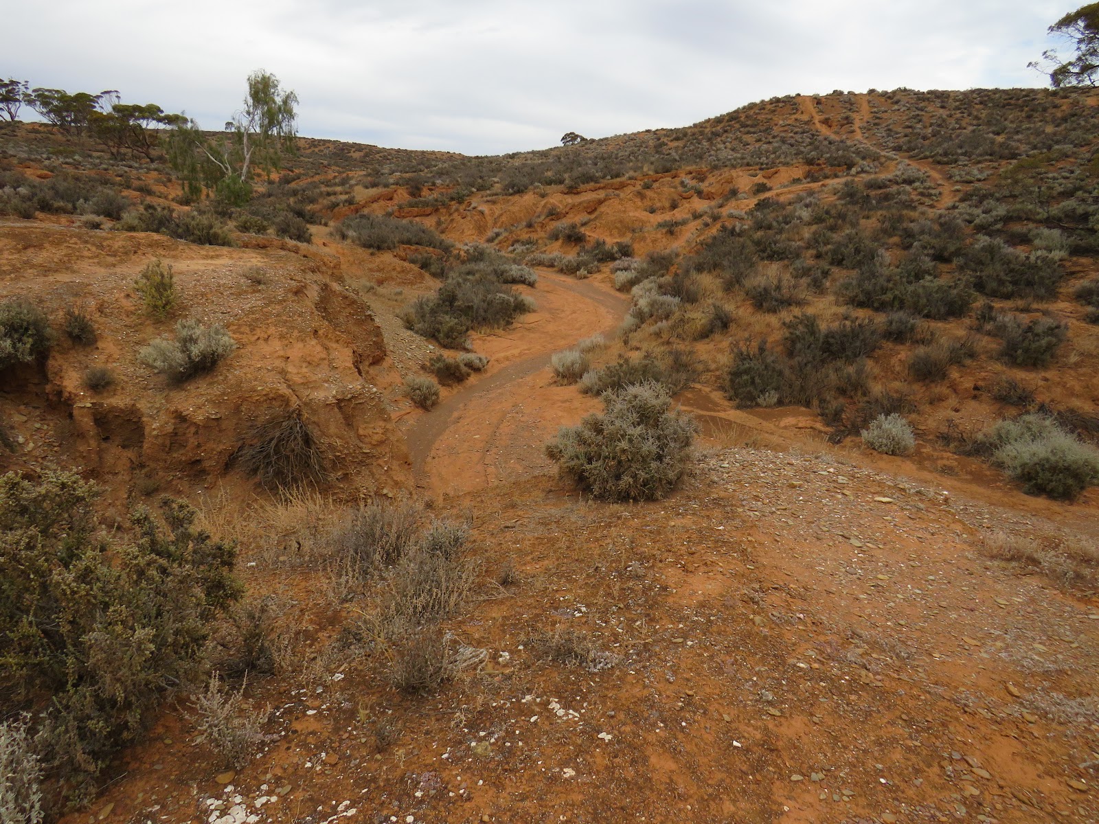 Redbanks Conservation Park Mallee campground 3